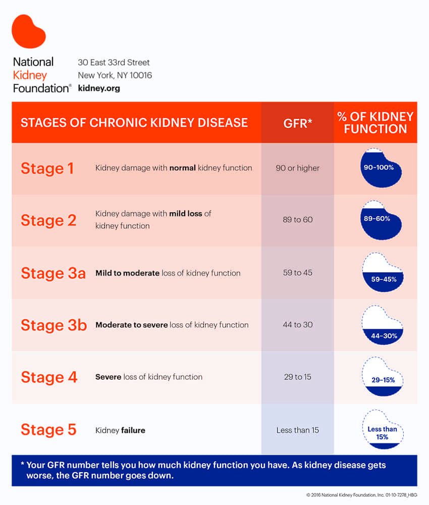 national kidney foundation stages of kidney disease