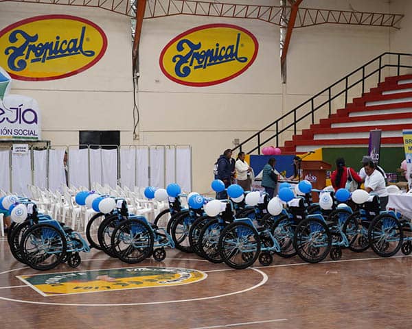 All of the wheelchairs lined up.