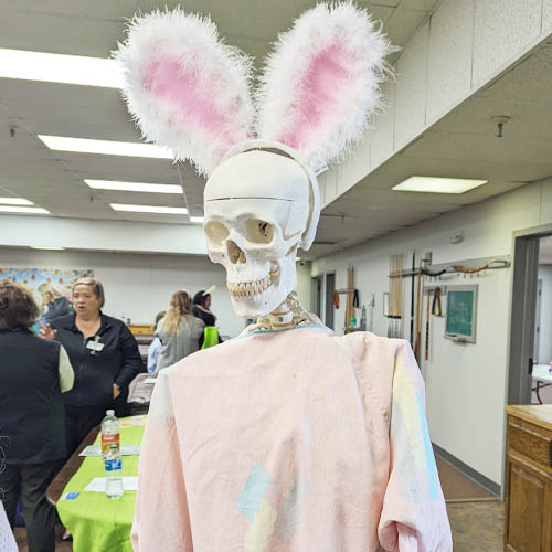 Skeleton in an Easter Bunny Suit at the Health Fair Cushing Senior Citizen Center