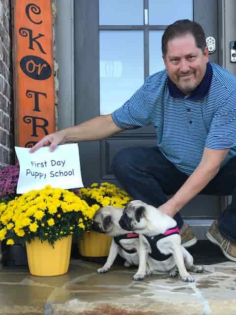 Pugs first day of school