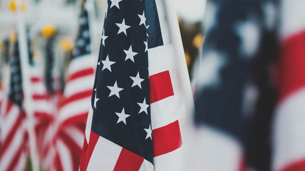 Field of American Flags With Some In Focus and the Background Out of Focus