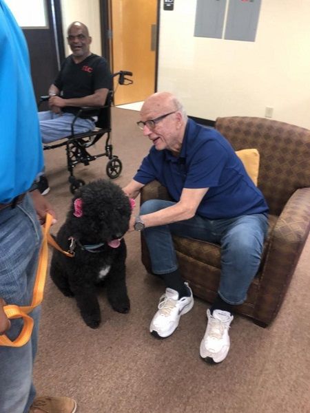 myla the therapy dog