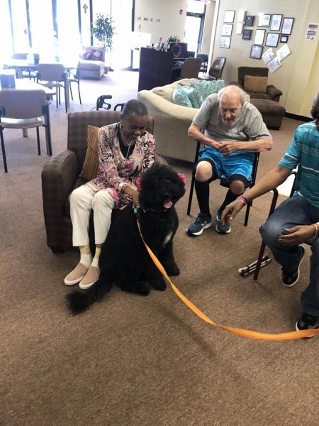 myla the therapy dog