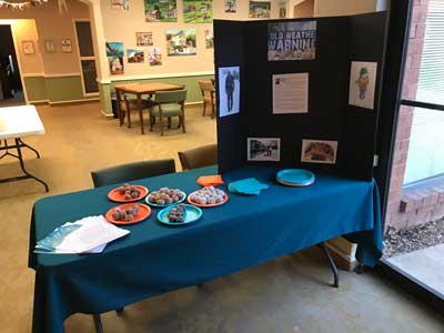 Donut Day Display