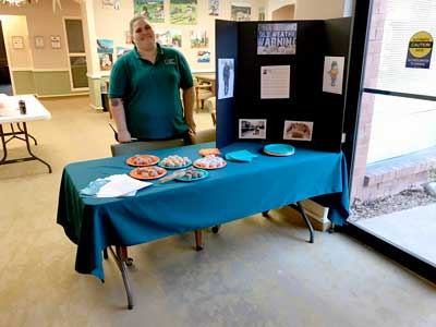 Donut Day Display