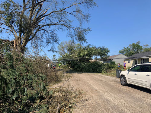 Broken trees and power lines