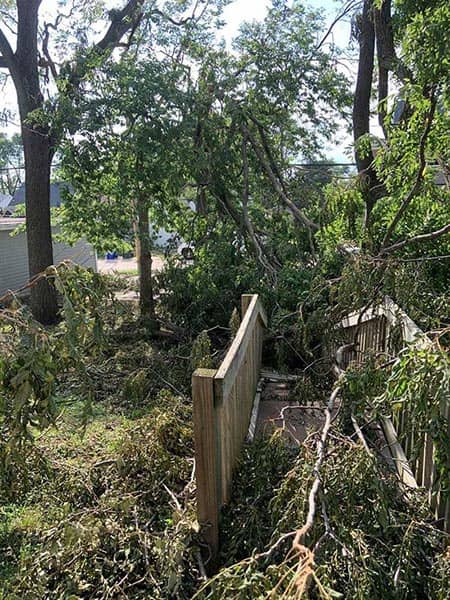 Broken trees and damage from the derecho in Cedar Rapids August 2020