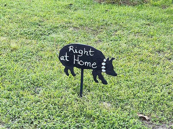 pig and pearls sign