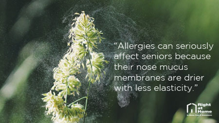 Senior Allergies