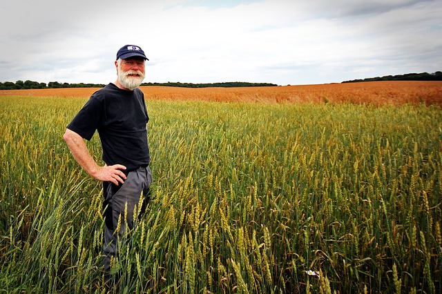 Older Farmers 