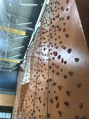 Ability360 Climbing Wall